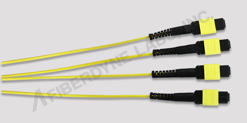 24 Fiber Singlemode MPO-MPO